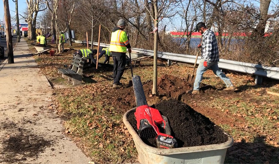 Street Tree Planting for the city of Staten Island, NYC. City and infrstructure project.