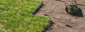 Best turf and sod installation services in New York City