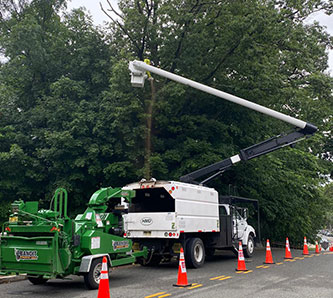 Commercial Tree Service Contractors in New York, NY